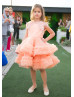 Salmon Ruffle Tulle Lace Appliques Flower Girl Dress